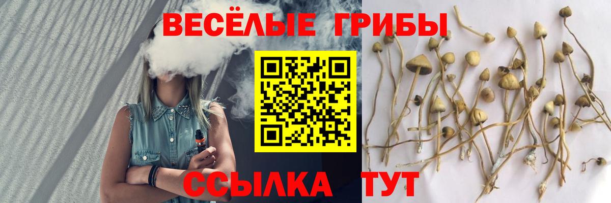 Псилоцибиновые грибы ЛСД  Вход с VPN  Щёлково 